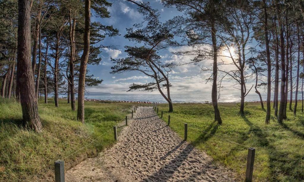 Direkt Am Strand Mit Meerblick Und Sauna - Fewo Strandidyll Binz Buitenkant foto